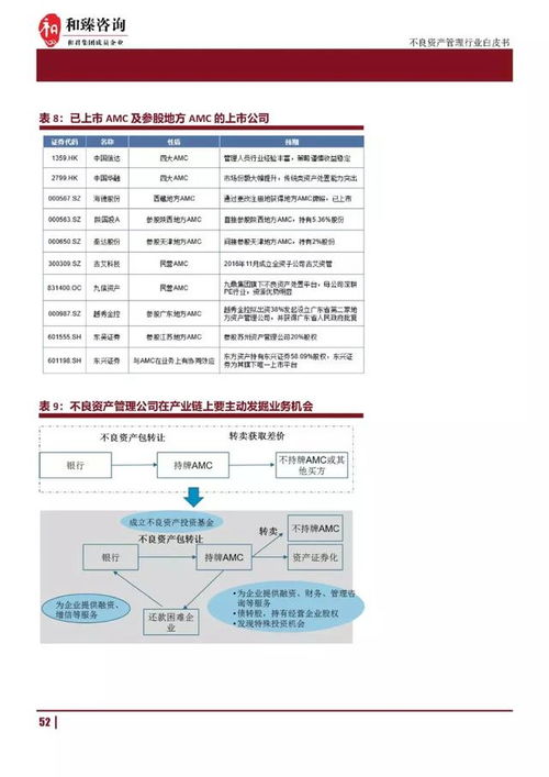 不良資產(chǎn)管理行業(yè) amc 白皮書