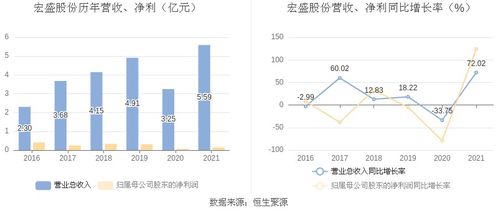 宏盛股份 2021年凈利潤同比增長124.16 擬10派3元